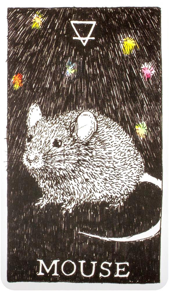 The Wild Unknown Animal Spirit Oracle card portraying the deck's otherworldly aesthetic — Eternal Spirit