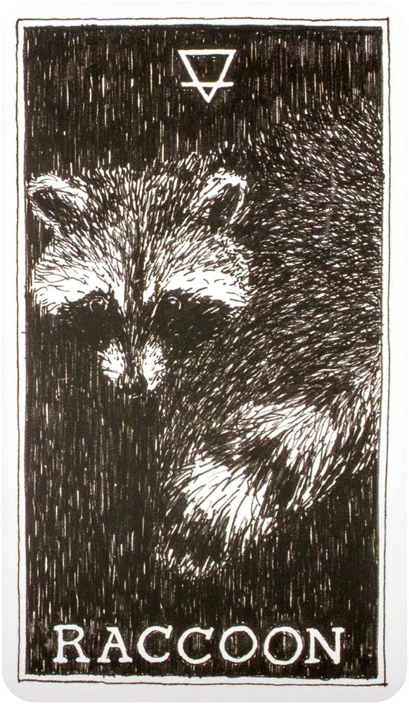 The Wild Unknown Animal Spirit Oracle card reflecting the deck's transcendent artwork — Eternal Spirit