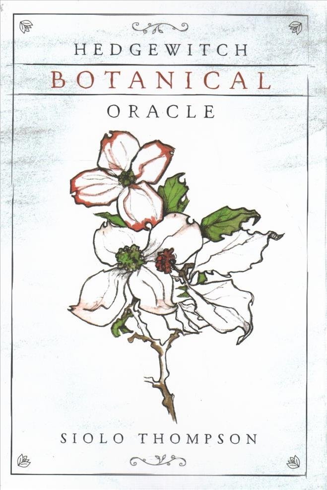 Hedgewitch Botanical Oracle box with white flower botanical illustration — Eternal Spirit