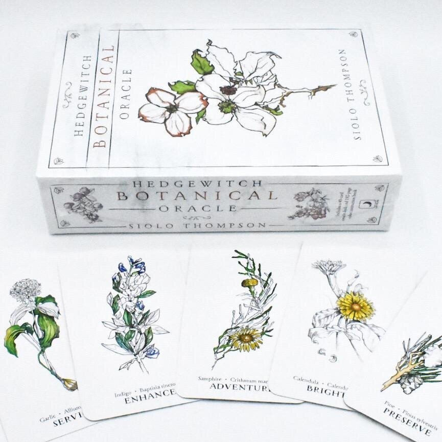 Hedgewitch Botanical Oracle deck, Botanical ink drawing of detailed flower stems in black and white — Eternal Spirit