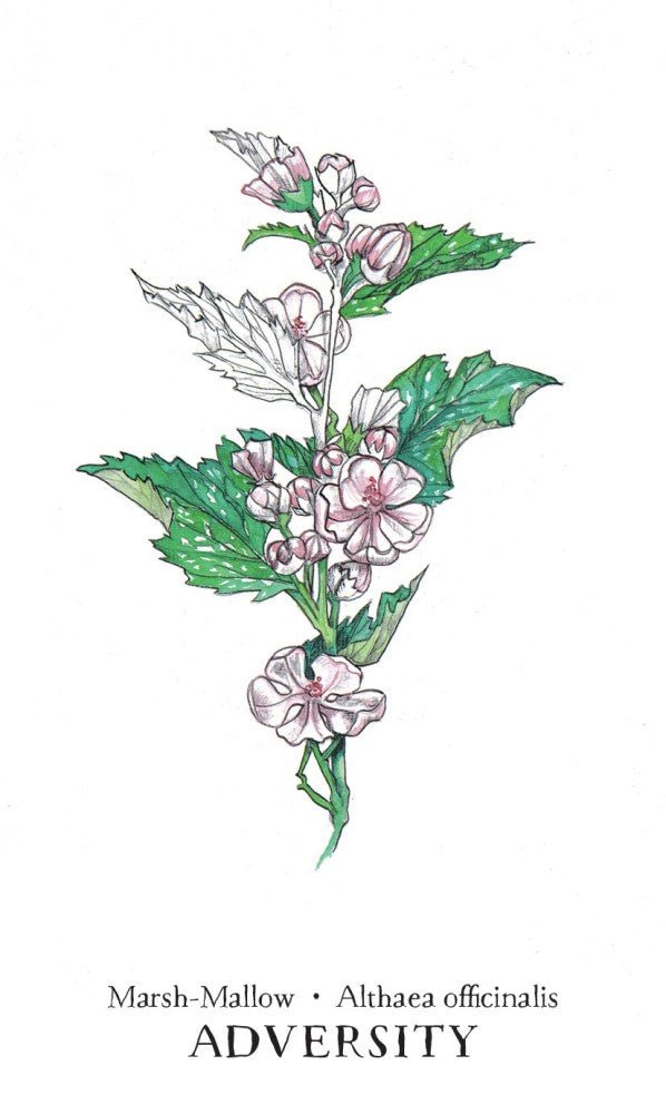Hedgewitch Botanical Oracle card demonstrating the deck's inspired artistry — Eternal Spirit