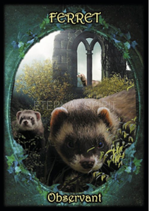 Witches' Familiars Oracle Cards, Ferret Observant card with detailed ferret illustration and dark — Eternal Spirit