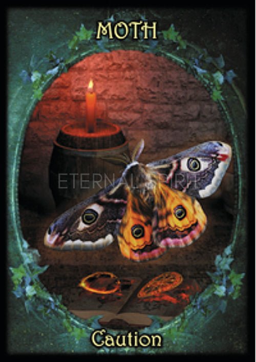 Witches' Familiars Oracle Cards card sharing the deck's luminous illustration style — Eternal Spirit