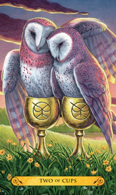 Tarot of the Owls card portraying the deck's otherworldly aesthetic — Eternal Spirit