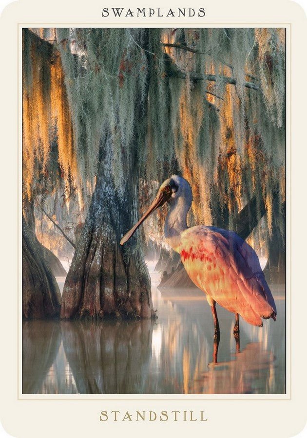 Sacred Destiny Oracle card capturing the deck's intuitive artistry — Eternal Spirit
