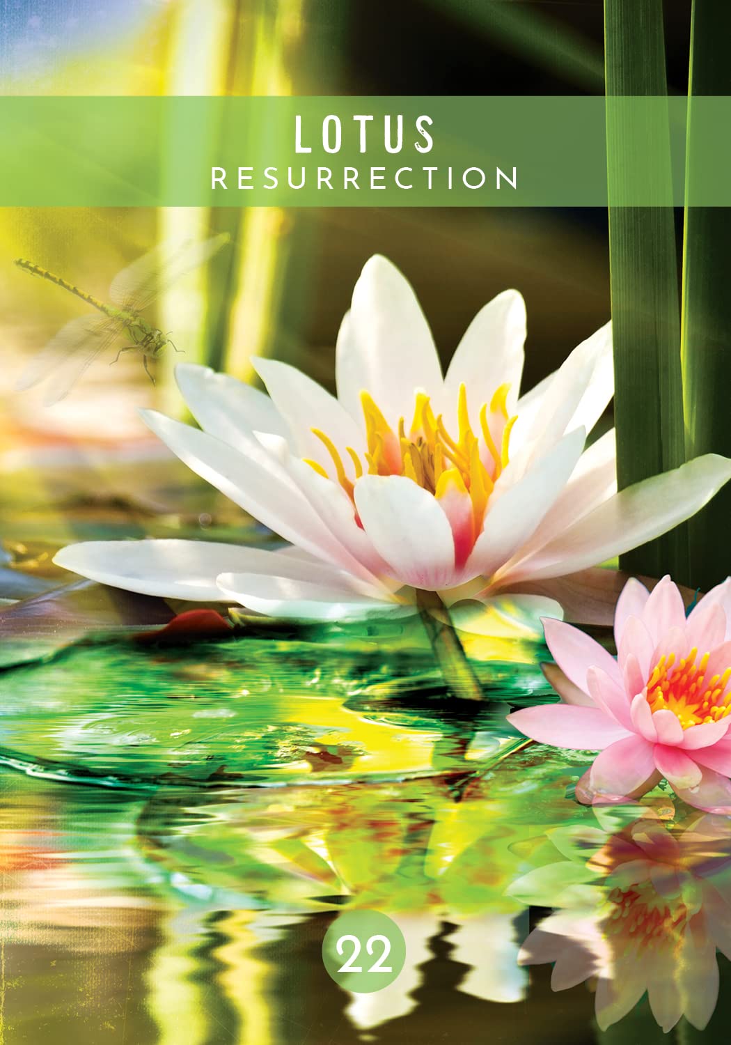 Messages from the Spirits of Nature card sharing the deck's luminous illustration style — Eternal Spirit