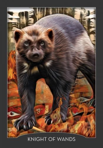 Guardian of the Night Tarot card unveiling the deck's spiritual symbolism — Eternal Spirit