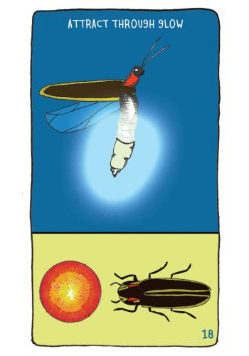 Animal Apothecary Oracle card exhibiting the deck's transformative card art — Eternal Spirit