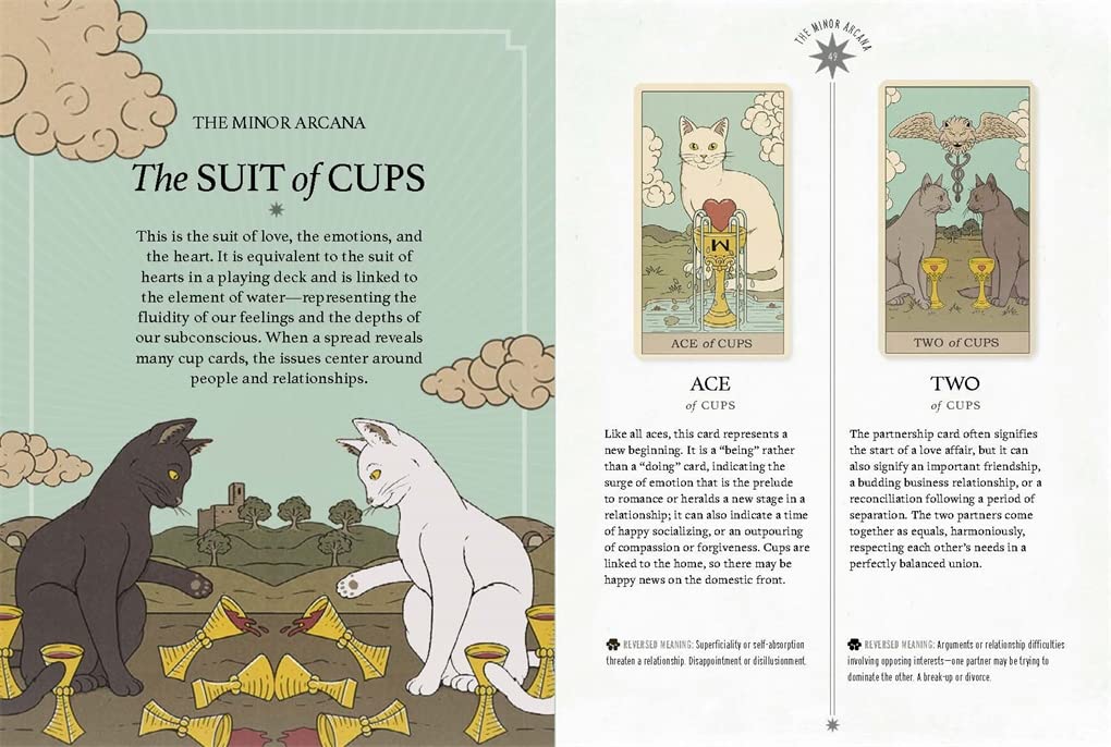 Cats Rule the Earth Tarot card exhibiting the deck's transformative card art — Eternal Spirit