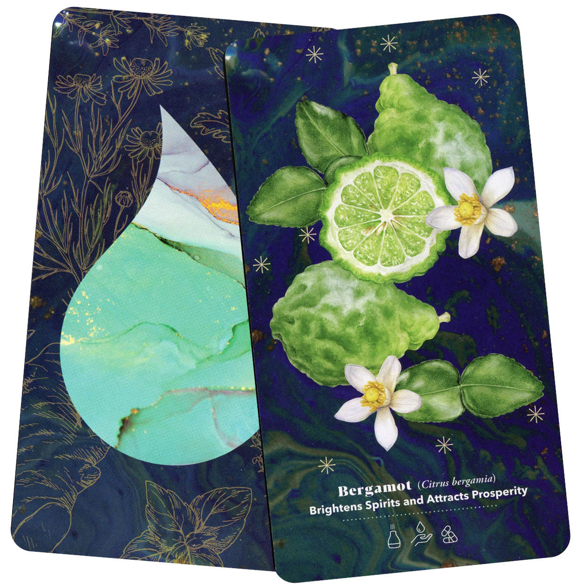The Essential Oils Healing Deck card unveiling the deck's spiritual symbolism — Eternal Spirit