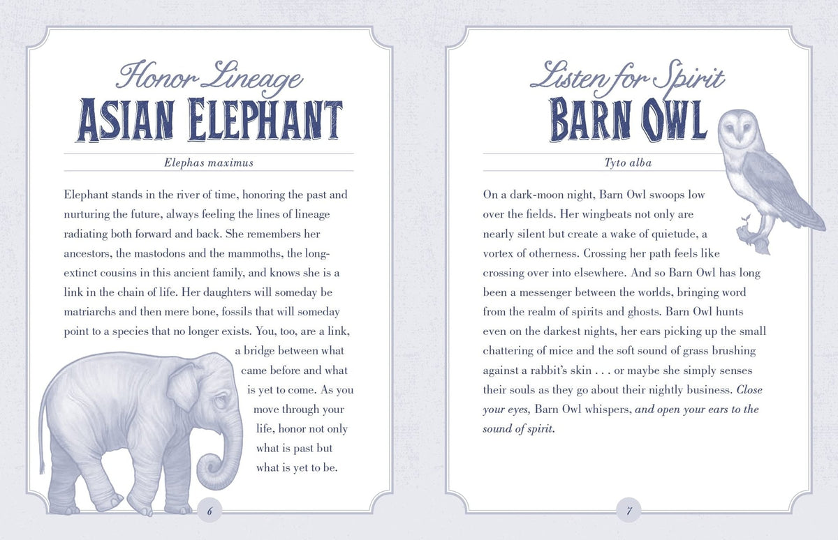 The Illustrated Beastiary Oracle card celebrating the deck's unique visual language — Eternal Spirit