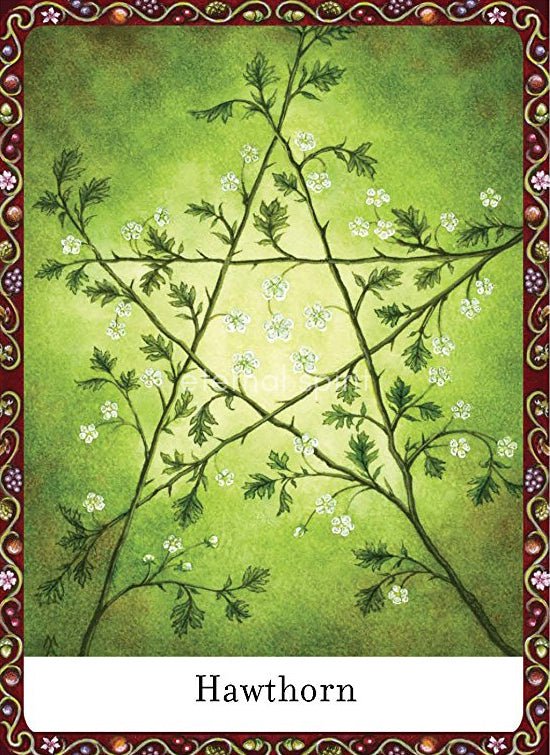 Wisdom of Trees Oracle card revealing the deck's deeply layered symbolism — Eternal Spirit