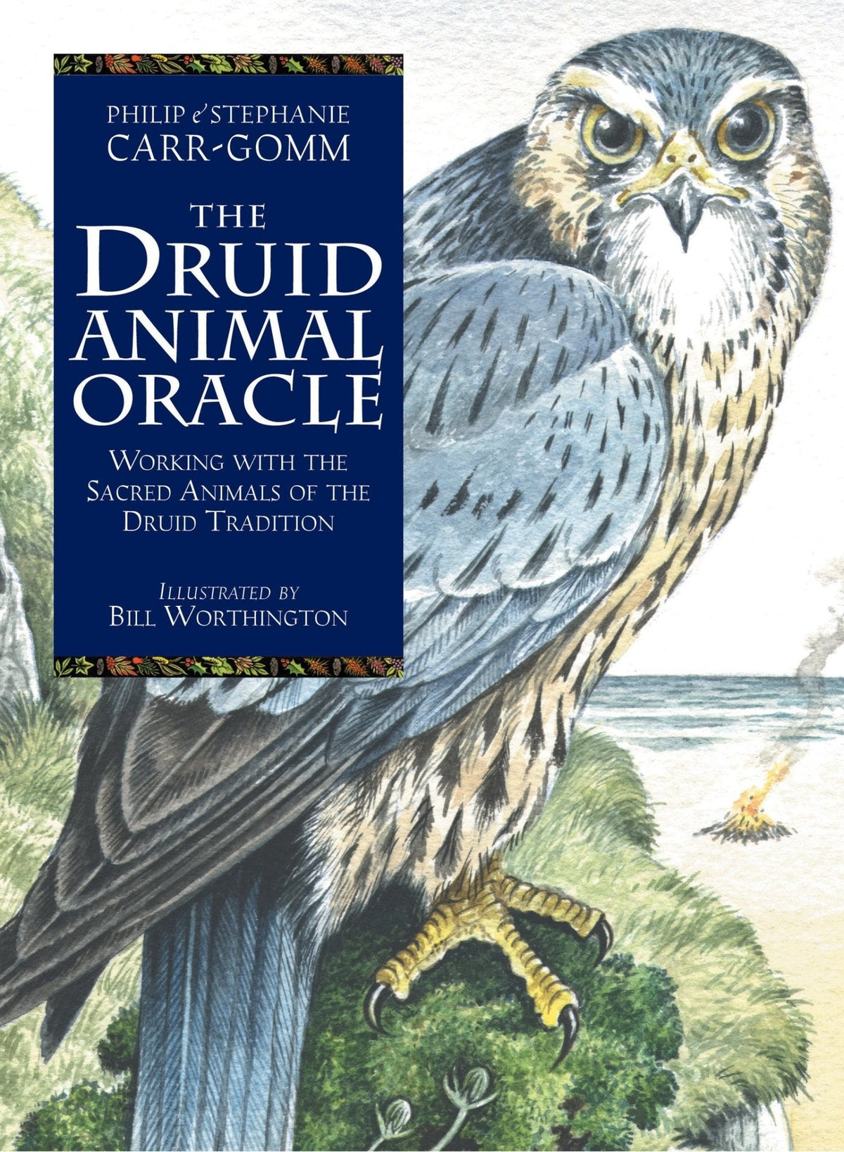 The Druid Animal Oracle box with Celtic animal art and knotwork — Eternal Spirit