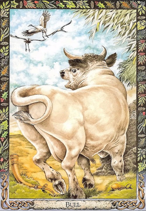 Druid Animal Oracle card unveiling the deck's spiritual symbolism — Eternal Spirit
