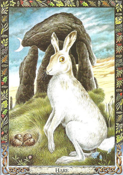 Druid Animal Oracle card featuring the deck's enchanting card art — Eternal Spirit