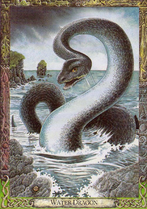Druid Animal Oracle card exploring the deck's contemplative imagery — Eternal Spirit