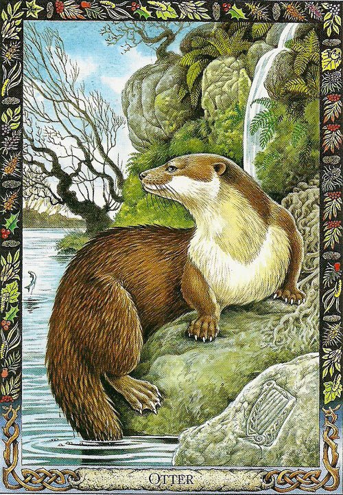 Druid Animal Oracle card sharing the deck's luminous illustration style — Eternal Spirit
