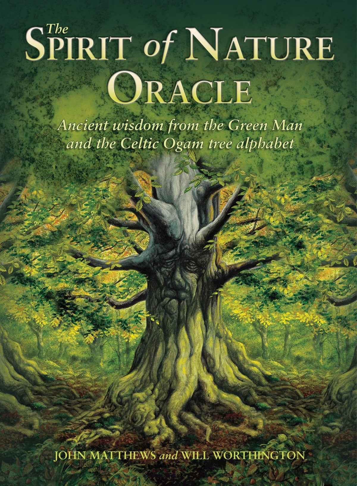 The Spirit of Nature Oracle box with dragonfly and wildflowers — Eternal Spirit