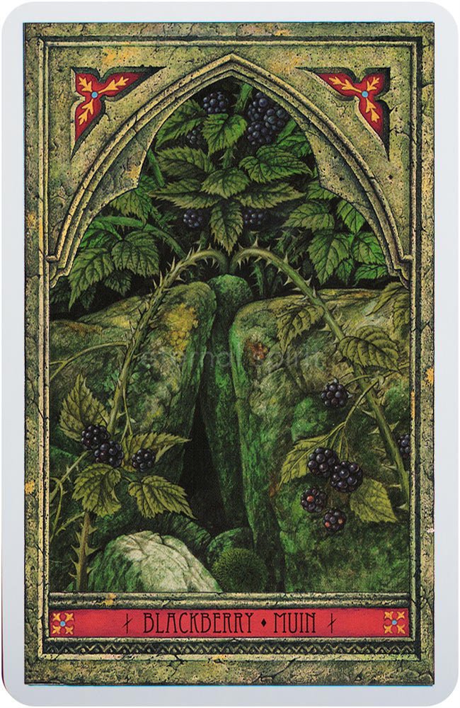Spirit of Nature Oracle card exhibiting the deck's transformative card art — Eternal Spirit