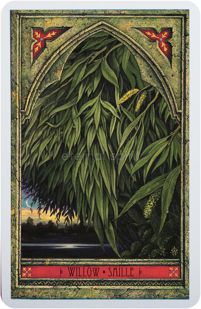 Spirit of Nature Oracle card celebrating the deck's unique visual language — Eternal Spirit