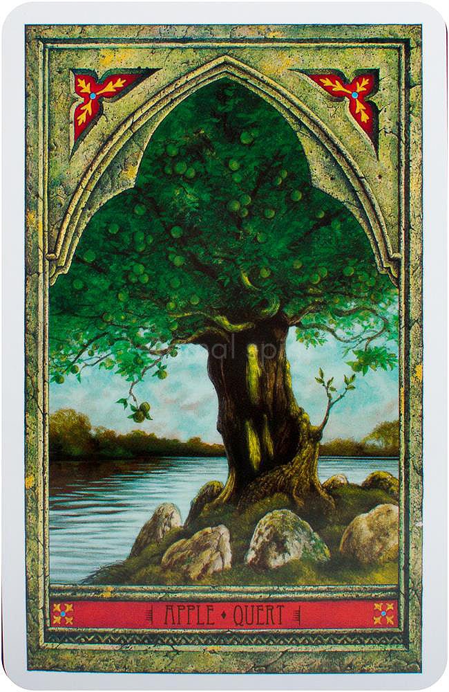 Spirit of Nature Oracle card revealing the deck's mystical artwork — Eternal Spirit
