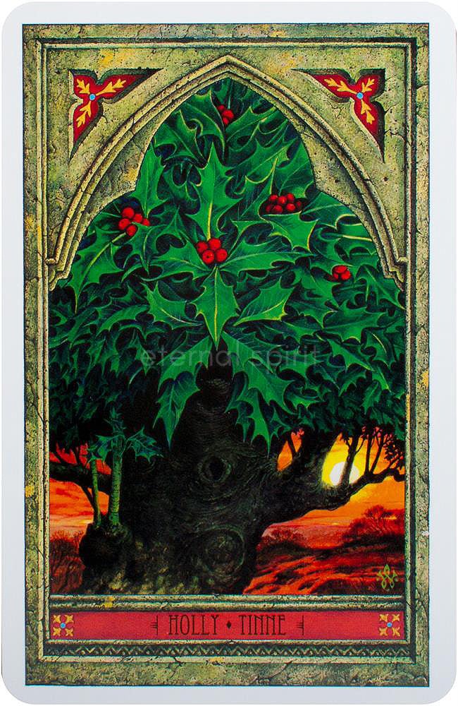 Spirit of Nature Oracle card showcasing the deck's evocative imagery — Eternal Spirit
