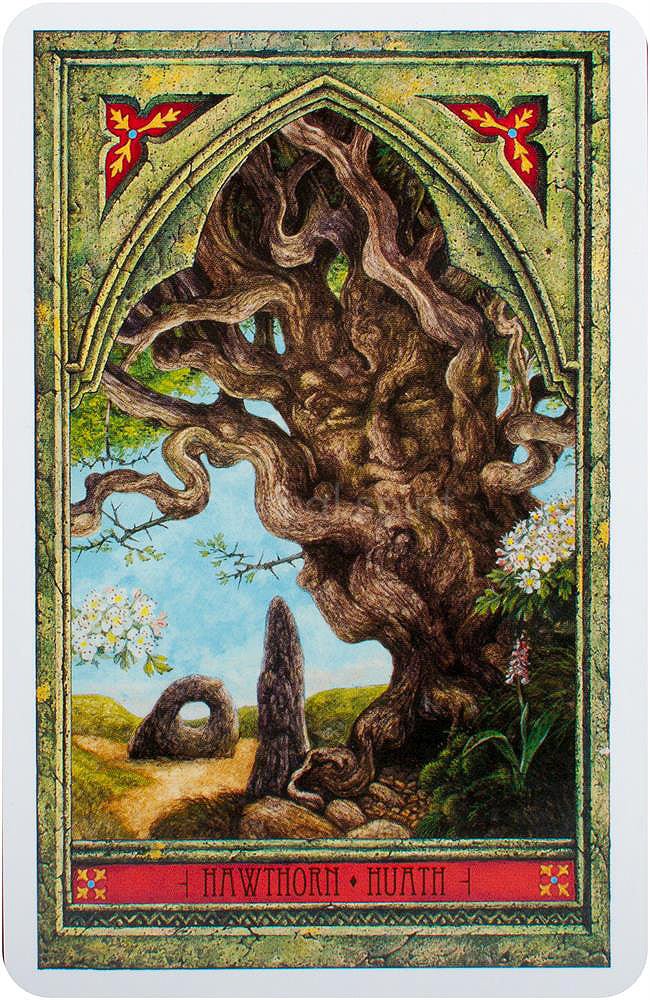 Spirit of Nature Oracle card displaying the deck's hand-painted illustrations — Eternal Spirit