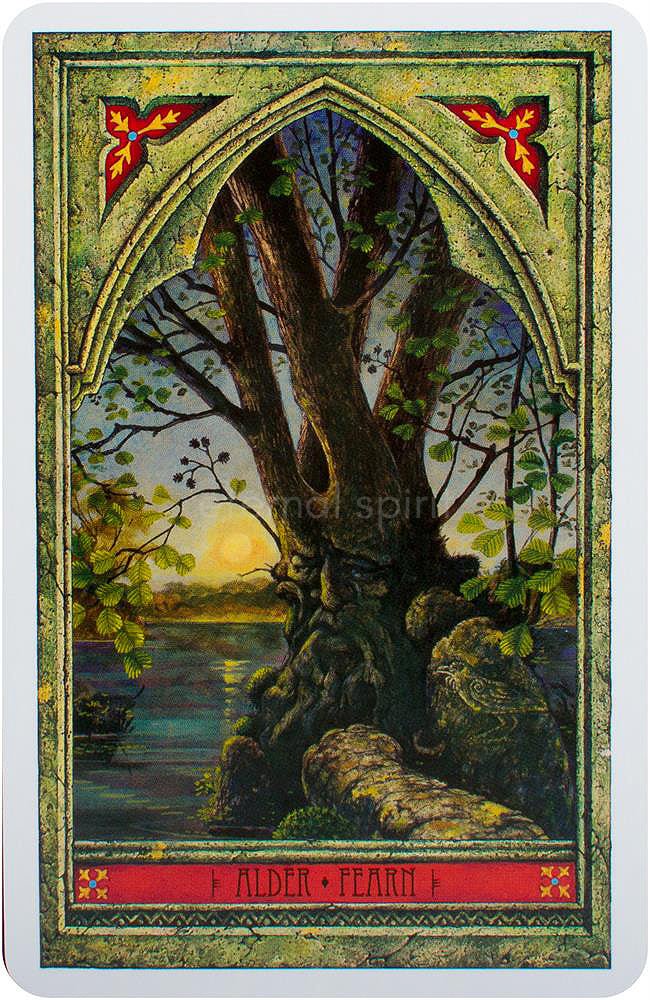 Spirit of Nature Oracle card highlighting the deck's symbolic art — Eternal Spirit