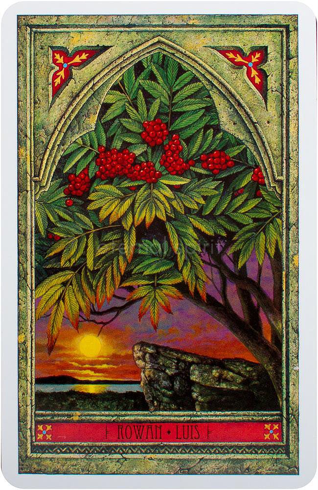 Spirit of Nature Oracle card unveiling the deck's spiritual symbolism — Eternal Spirit