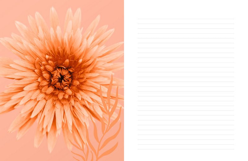 Colour Healing Journal capturing the journal's artistic page details — Eternal Spirit