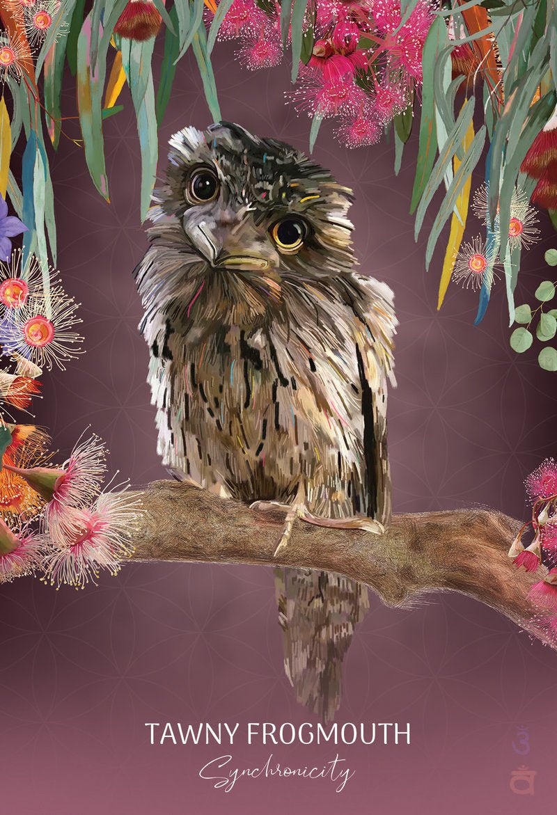 Wild Wisdom Australia Cards card showcasing the deck's evocative imagery — Eternal Spirit