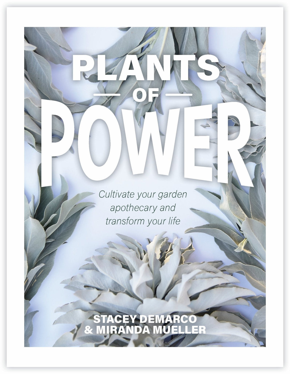 cover of Plants of Power — Eternal Spirit