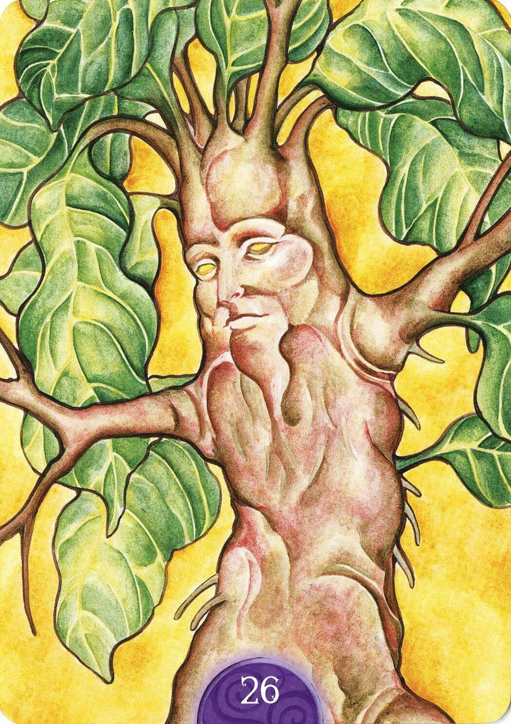 Wicca Oracle card featuring the deck's enchanting card art — Eternal Spirit