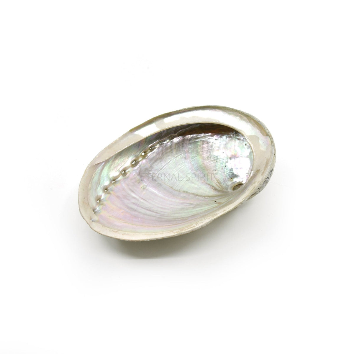 Abalone shell smudging bowl with natural iridescence — Eternal Spirit