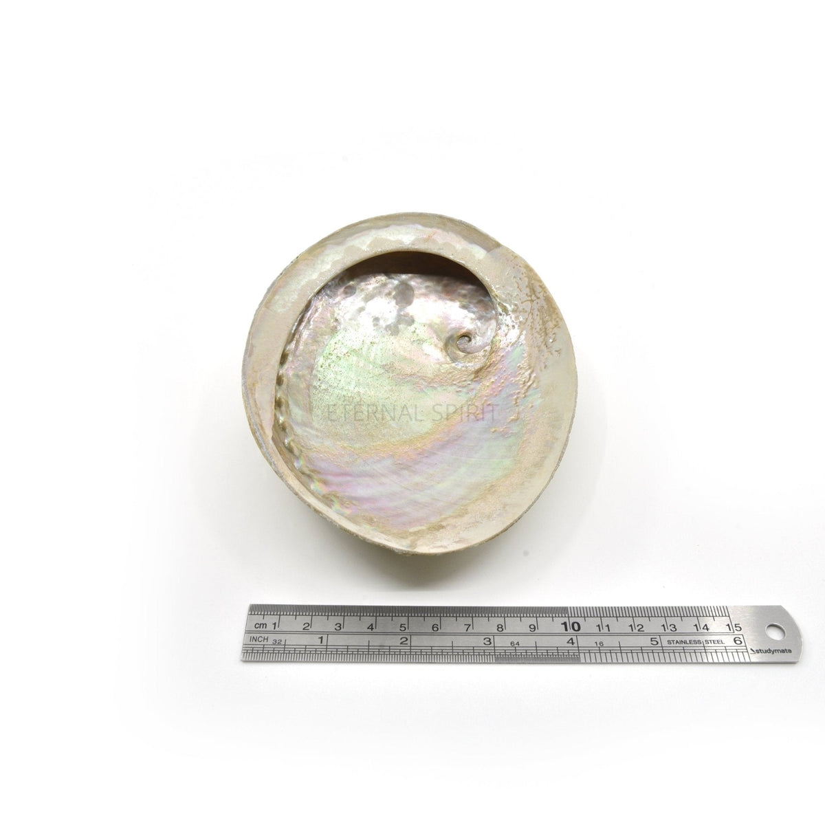 Natural abalone shell bowl, edge and rim view — Eternal Spirit