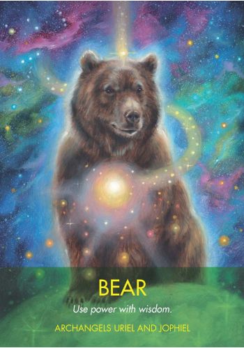 Archangel Animal Oracle deck, Bear card with brown bear portrait, Lead Gently with Wisdom message — Eternal Spirit