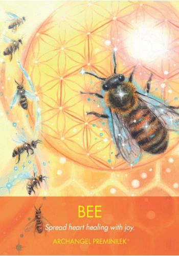 Archangel Animal Oracle card featuring the deck's enchanting card art — Eternal Spirit