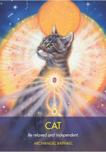Archangel Animal Oracle card exploring the deck's contemplative imagery — Eternal Spirit