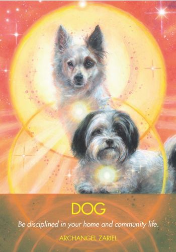 Archangel Animal Oracle card sharing the deck's luminous illustration style — Eternal Spirit