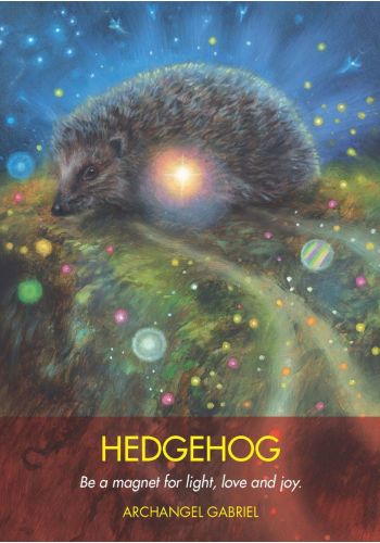 Archangel Animal Oracle card revealing the deck's deeply layered symbolism — Eternal Spirit