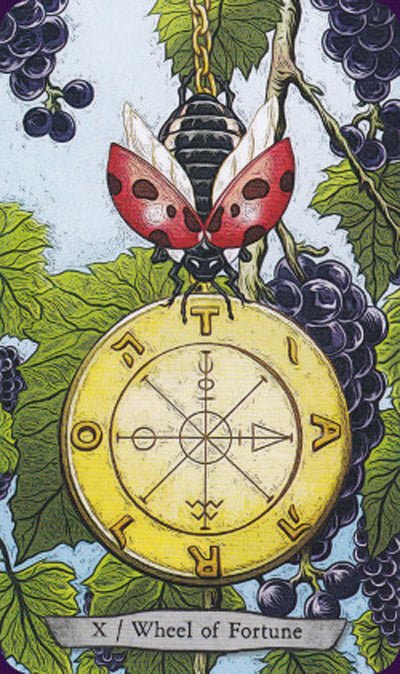 Animal Totem Tarot card sharing the deck's luminous illustration style — Eternal Spirit