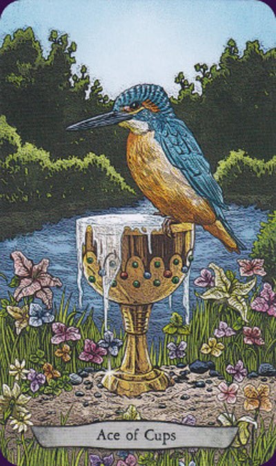 Animal Totem Tarot card revealing the deck's deeply layered symbolism — Eternal Spirit