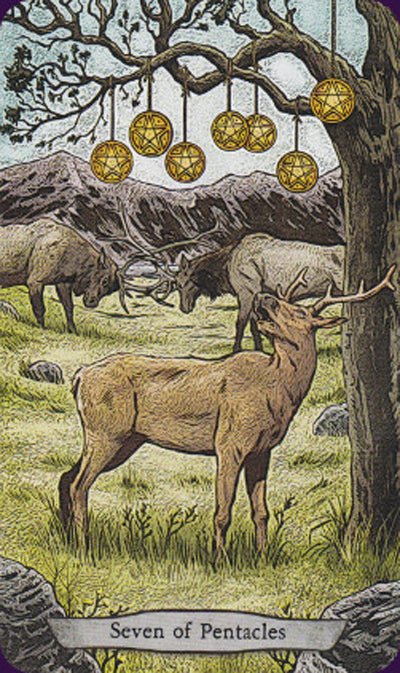 Animal Totem Tarot card demonstrating the deck's inspired artistry — Eternal Spirit
