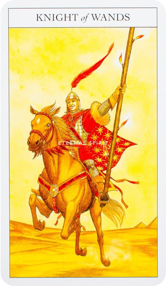Beginner's Guide to Tarot card showcasing the deck's evocative imagery — Eternal Spirit
