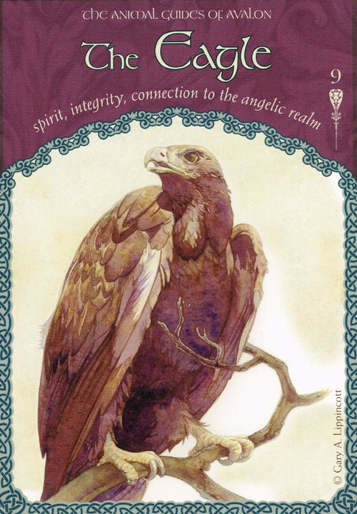 Wisdom of Avalon Oracle card revealing the deck's deeply layered symbolism — Eternal Spirit