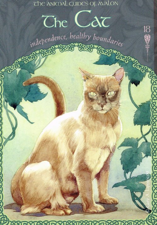 Wisdom of Avalon Oracle card portraying the deck's otherworldly aesthetic — Eternal Spirit