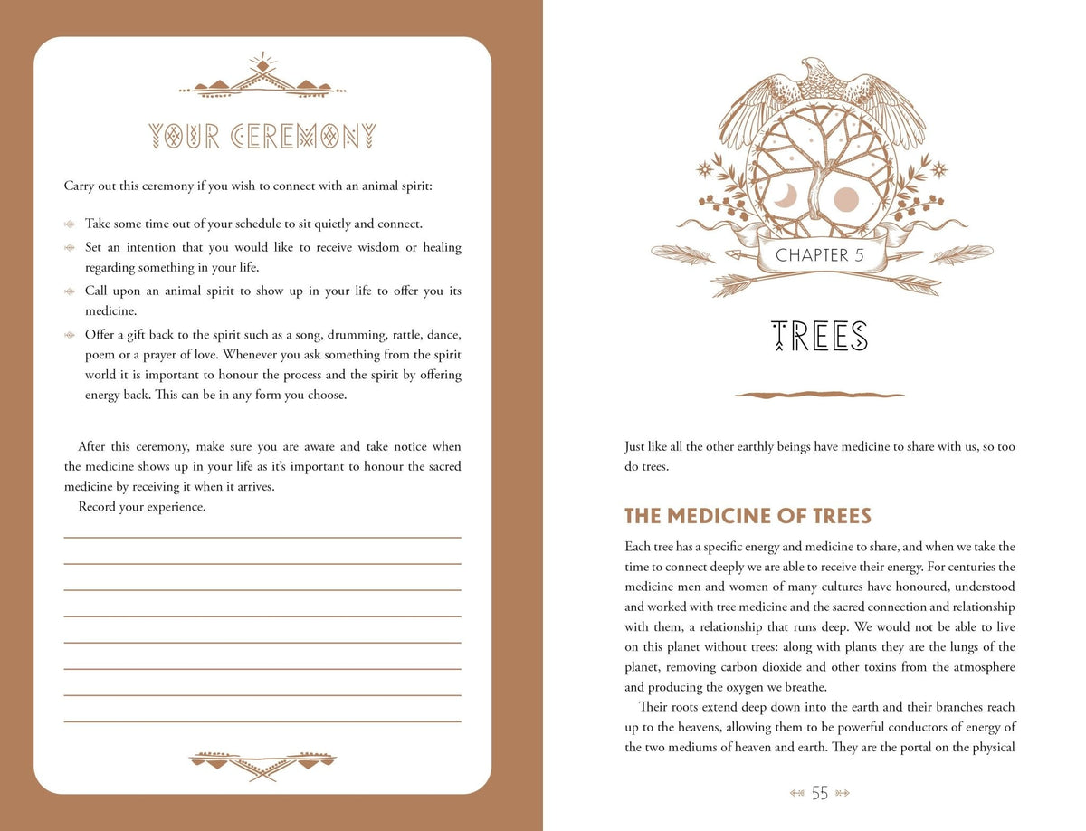 interior preview 5 of Crystal Shamanism — Eternal Spirit