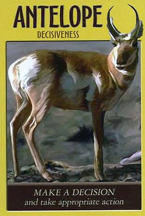 Power Animal Oracle card demonstrating the deck's inspired artistry — Eternal Spirit