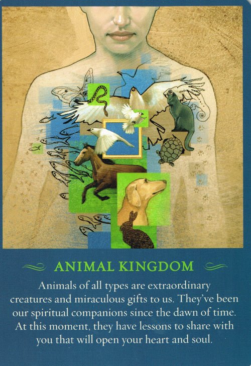 The Spirit Messages Oracle card sharing the deck's luminous illustration style — Eternal Spirit