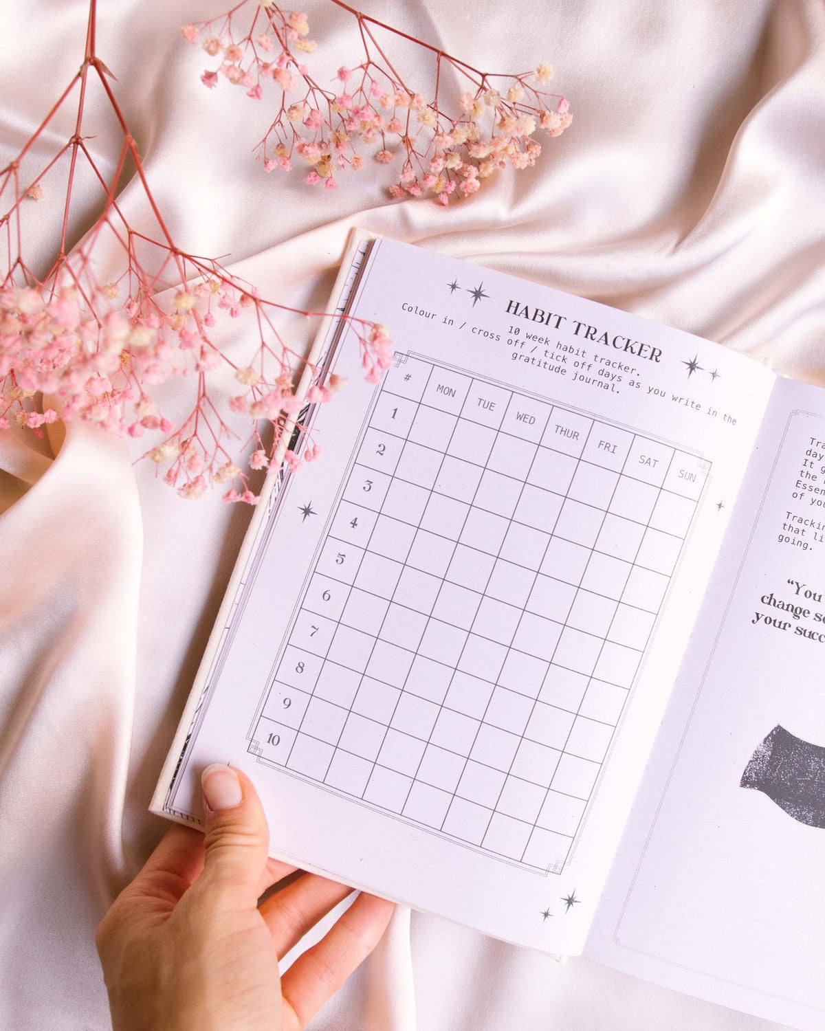 Dreamy Moons "Gratitude Journal presenting the journal's reflective writing spaces — Eternal Spirit